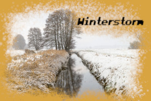 Cover_Winterstorm.jpg