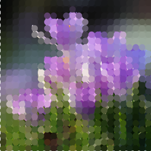 Ohne Hintergrund.png