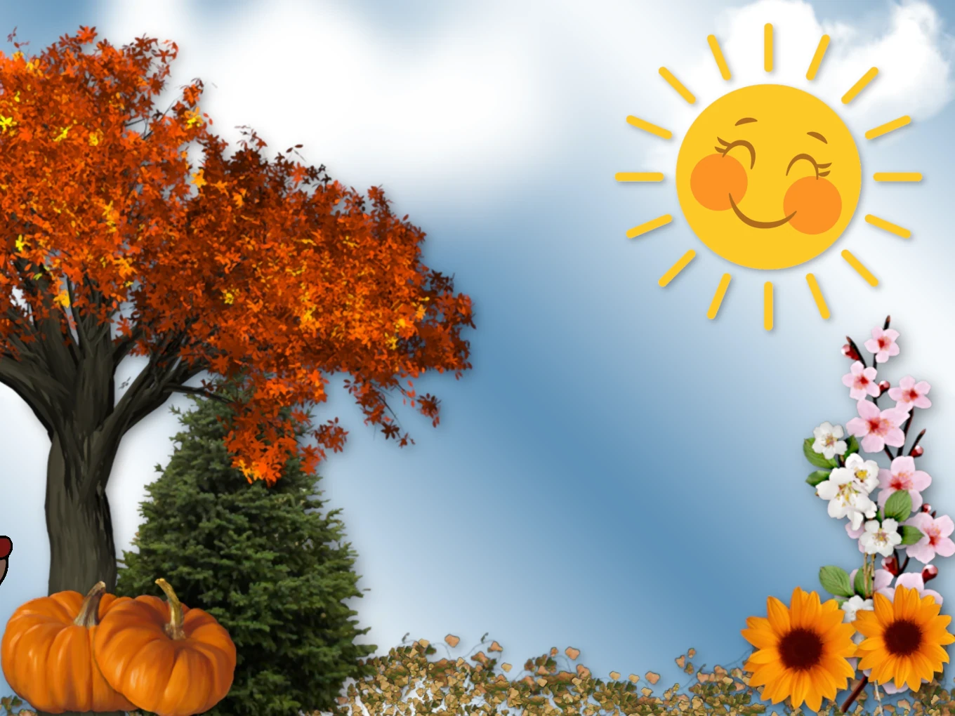 Bello.webp