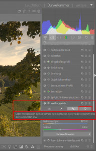 Weissabgleich.jpg