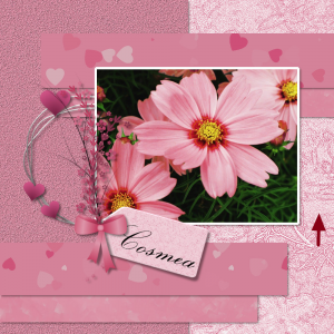 gw_LO-21-01-02.png